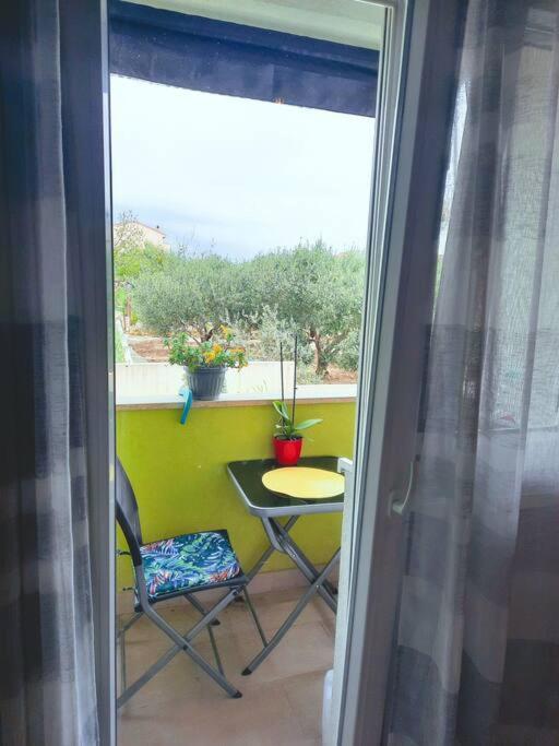 Apartman Nane Solin Extérieur photo